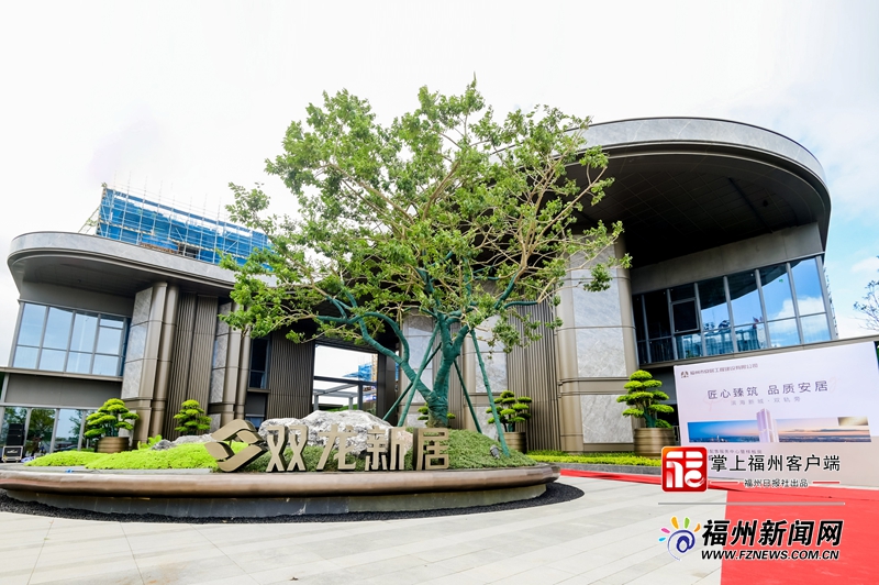 板房国庆开放 众多市民前往参观K8凯发天生赢家滨海双龙新居样(图4)