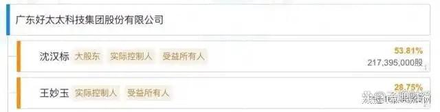 收、净利下滑旗下电动晾衣机曾抽查不合格凯发K8国际娱乐好太太去年前三季度营(图8)